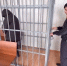 Двое братьев на Ставрополье держали в рабстве 22-летнего парня - ATVmedia.Ru