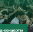 В Краснодаре 30 и 31 мая пройдут первые в новом летнем сезоне променад-концерты - Администрация города Краснодар