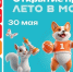 Опубликован график работы площадки проекта «Лето в Москве» на Площади Юности - Район Матушкино