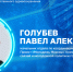 Как сделать ЗОЖ привлекательным для молодежи - НИИ организации здравоохранения и медицинского менеджмента