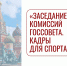 На заседании комиссий Госсовета обсудили кадровые вопросы в сфере физкультуры и спорта - Минспорт Республики Марий Эл