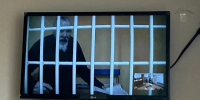 Житель Йошкар-Олы вытащил нож нижегородском автобусе и превратил рейс в криминальный триллер - ProGorodNN.Ru