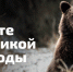 Жителей Республики Марий Эл приглашают принять участие в проекте «Вместе для дикой природы» - Минприроды Республики Марий Эл