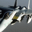 NBC: сбитый в Иране истребитель США F-15 был поражен китайской ракетой - ИА Общественная служба новостей