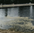 В Самаре стартовала очистка восьми городских озер в парках и скверах - ProGorodSamara.Ru