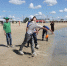 На Дону прошел областной «День безопасности на воде» - Газета Донские огни