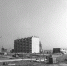 Улице Дружбы исполнилось 47 лет - Bloknot-Volgodonsk.Ru