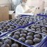 Вологодские продукты стали еще чаще покупать за рубежом - Вологда.РФ
