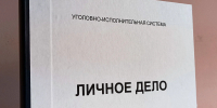 Житель Башкирии избил таксу - Сетевое издание Республика Башкортостан