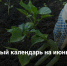Лунный календарь на июнь 2026 года - Самарская Газета