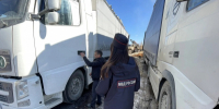 Полиция Серова подвела итоги оперативно-профилактического мероприятия «Иностранец» - ГУ МВД Свердловской области