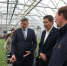 Оазис вместо пустыни: делегация ООН оценила астраханские технологии борьбы с опустыниванием - Punkt-a.info