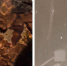 Новостройку в Новосибирске затопило кипятком после испытаний труб - Gorsite.Ru