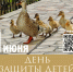 В Дендрарии отметят День защиты детей  - Sochi.Com