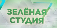 На фестивале «Пресса-2026» работала открытая студия телеканала «Самара-ГИС» - SamaraGIS.Ru