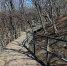 30m5jqdcxo8th1o0ec316ybqcxyt5r4l.jpg - Primorye24.Ru
