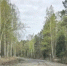 31.05.2026 г. в связи с колебаниями уровней воды, автодорога Н. Куряты - Таяты (участок 41-47 км.) закрыта, движение автотранспорта временно приостановлено.. - Каратузский район