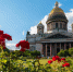 На Исаакиевской площади Петербурга вновь открылся сад-трансформер - Санкт-Петербург.ру