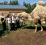 Школьники из Сыктывкара освоили уход за сельскими животными - Pg11.Ru