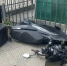 На улице Армянской в Сочи водитель съехал в кювет и погиб - KrasnodarMedia