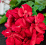 2631 - News102.Ru