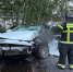 В Светлом автомобиль врезался в дерево, погибли водитель и пассажирка - NewKaliningrad.Ru