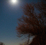 Над Землей взойдет голубая луна - StolicaOnego.Ru
