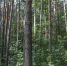 Фото Екатерины Христозовой - Tumentoday.Ru