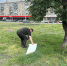 В Копейске можно спокойно гулять по парку и скверу - Копейский рабочий