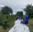 Боновое заграждение-дамбу устанавливают в станице Троицкой Крымского района - Кубанские Новости