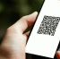 С 1 сентября в России вводится единый QR-код для оплаты в магазинах и кафе - Мурманский вестник