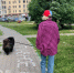 Бастрыкин взял под контроль дело о разбитой дороге в Нижегородской области - ProGorodNN.Ru