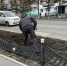 Подготовка городских клумб, уборка улично-дорожной сети, текущий ремонт - Kolyma.Ru
