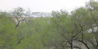 Непогода оставила без света сотни людей в Приамурье - Teleport2001.Ru