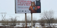 Медведи на баннерах для снижения числа конфликтов: на Камчатке стартовал проект «Земля медведя: правила добрососедства» - Карагинский район
