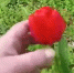image - GazetaRB.Ru