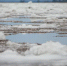 В Усть-Майском районе фиксируется снижение уровня воды в реке Алдан - Yakutia-Daily.Ru