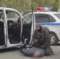 PNG Файл - ГУ МВД Алтайского края 