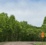 bhdl8urhmh95hdq57o6twvzlta0ypsr3.jpg - Primorye24.Ru