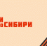 Герои НовоСибири изучат современные технологии управления - Iskitim-Gazeta.Ru