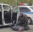 Барнаулец вез в город 50 кг веществ для производства наркотиков и случайного попутчика - ИА Амител