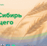 Ежегодный областной Агрофорум «АгроСибирь будущего» - Колыванский район