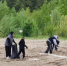В рамках акции «Вода России» состоялись масштабные субботники по очистке берегов. - Администрация г. Бердск