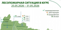 В Югре за неделю  потушили 32 природных пожара - ИД Новости Югры