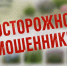 Начала дачного сезона ждут не только садоводы и огородники. В это время активизируются мошенники, которые массово создают поддельные сайты, копирующие страницы популярных садовых магазинов. - Ракитянский район