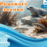 Приглашаем в "Дом рыбака" - Городской музей