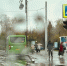 Фото Дениса Моргунова - Tumentoday.Ru