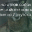 Поделитья во ВКонтакте - Братская Студия Телевидения