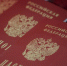 ФСБ лишила гражданства РФ 8 уроженцев Центральной Азии из-за нарушений закона - M24.Ru