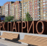 В Курске в парке «Патриот» клёны высадили в бетон - РИА Курск